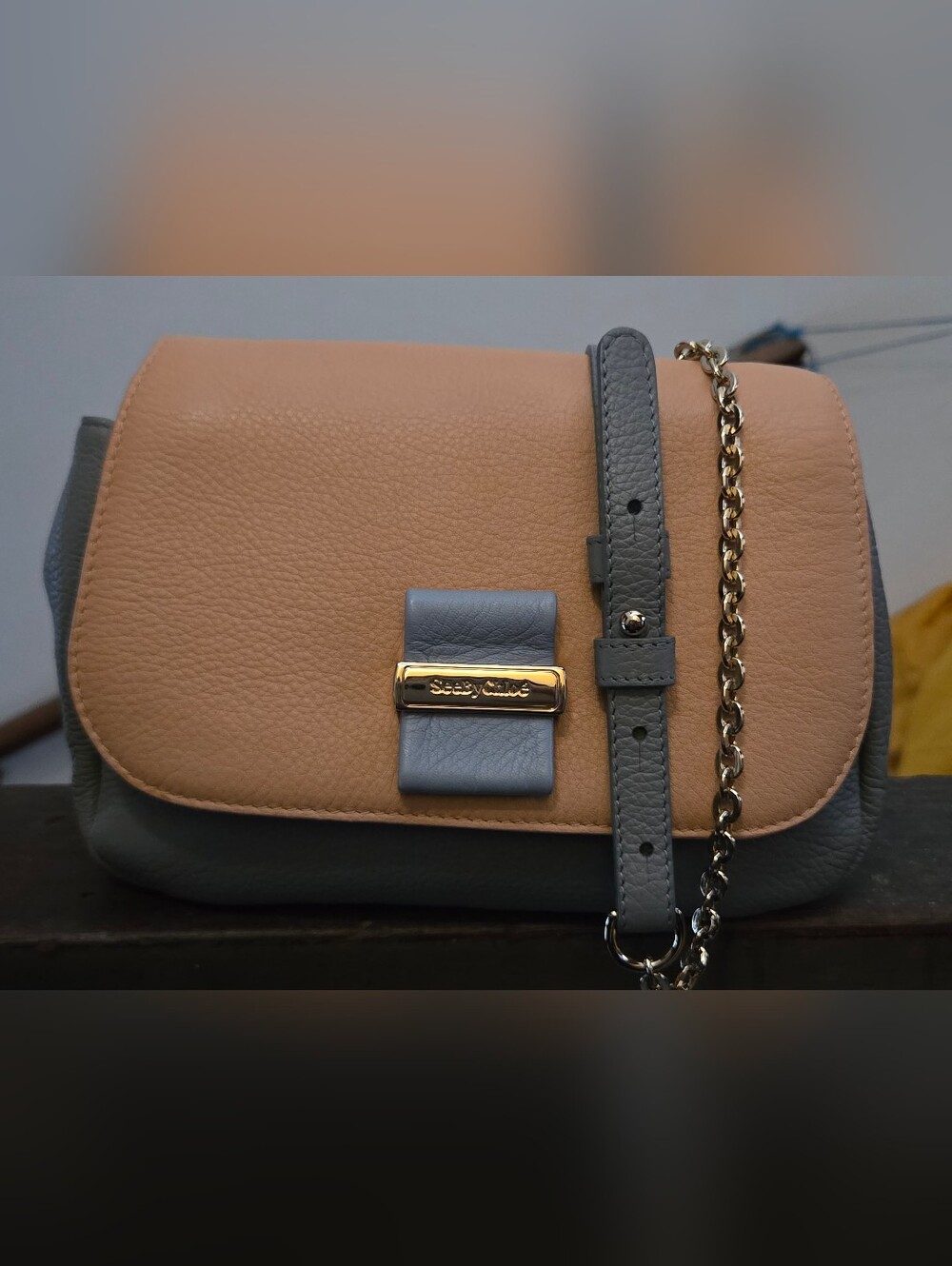 See By Chloe Colorblock Leather Crossbody Bag in Peach and Gray